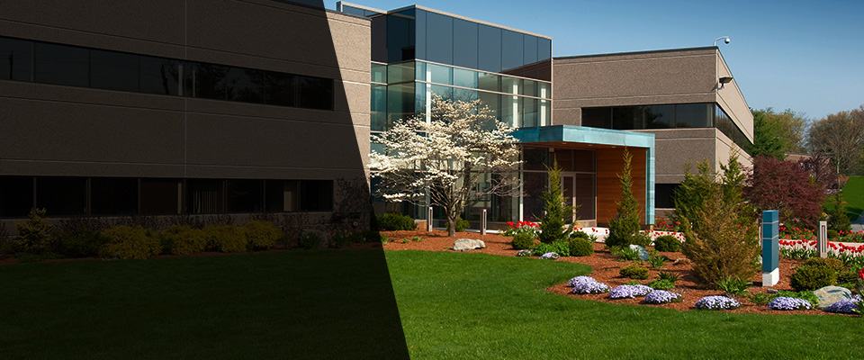 Beckley Landscapers