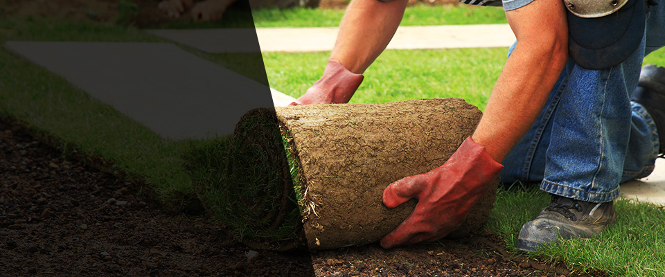 Beckley Landscapers